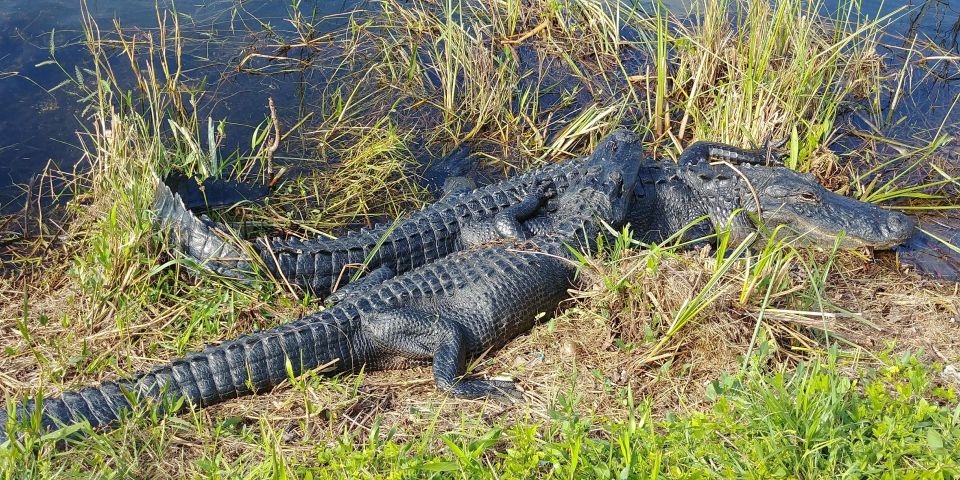 Everglades Airboat Ride & Tram Tour - Directions