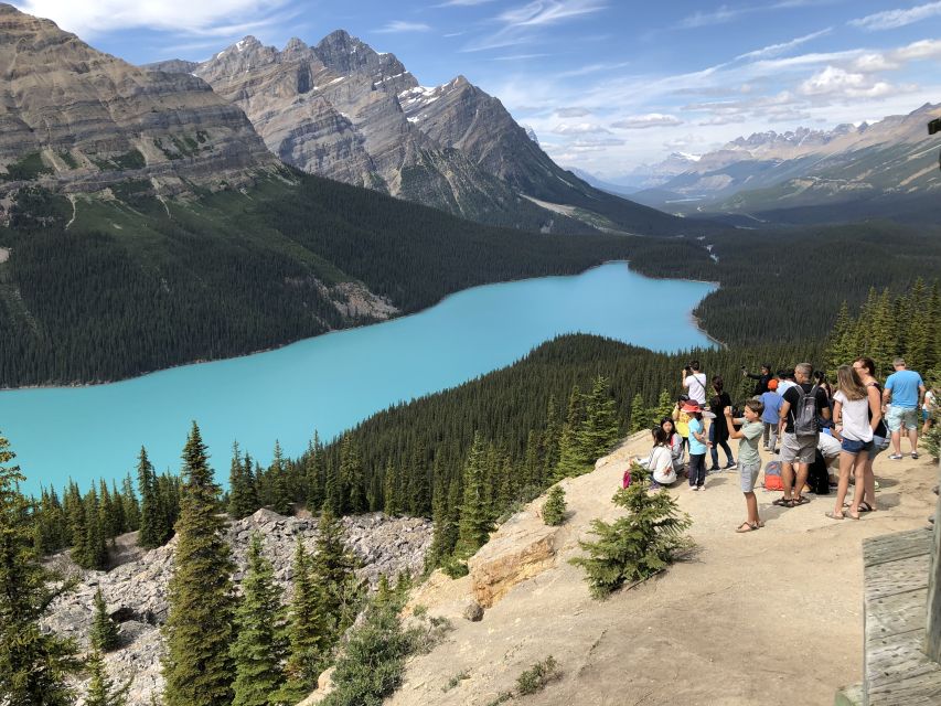 From Banff: Icefield Parkway Scenic Tour With Park Entry - Final Words