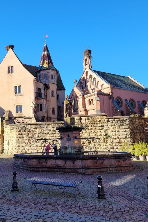 From Colmar: Alsace Wine Route Tour Half Day - Inclusions and Additional Activities