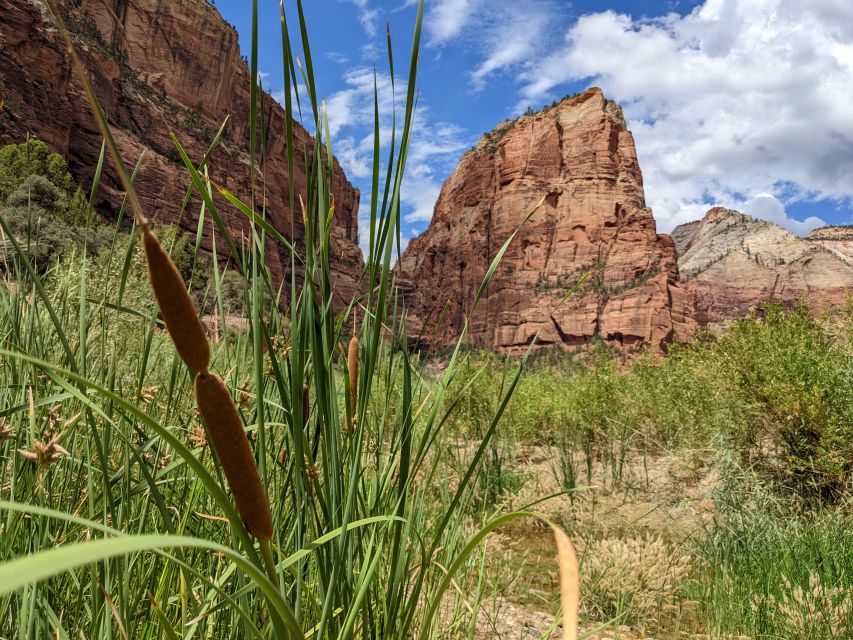 From Las Vegas: Zion National Park Small Group Adventure - Directions