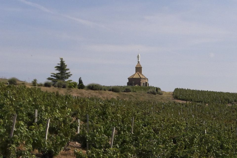 From Lyon: Beaujolais Region Wine Tour With Tastings - Pricing Details