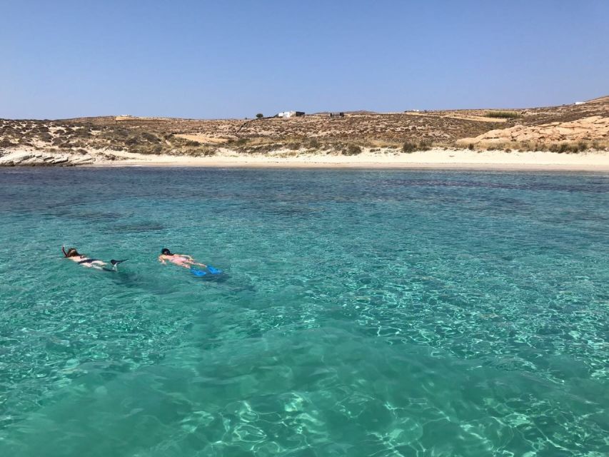 From Mykonos: Full-Day Ancient Delos & Rhenia Island Cruise - Customer Reviews & Testimonials
