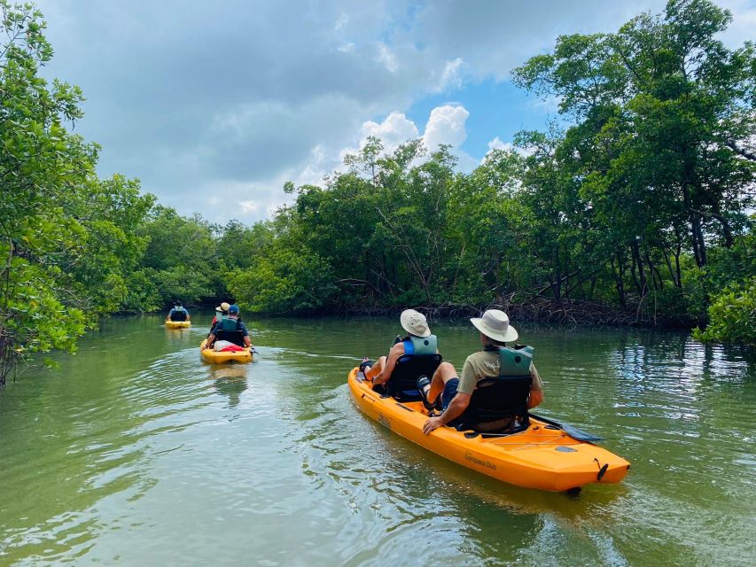 From Naples, FL: Marco Island Mangroves Kayak or Paddle Tour - Directions