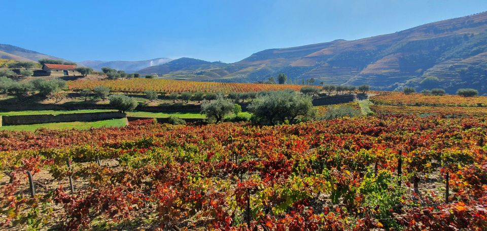 From Porto Day Douro Valley Wine Tour 2 Wineries & Lunch - Directions