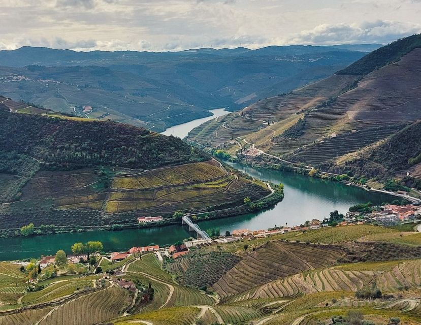 From Porto: Full-Day Douro Valley Wine Tour - How to Book