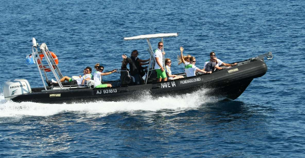 From Porto: Scandola and Calanche De Piana Boat Tour - Important Information