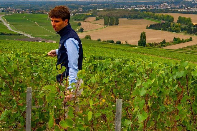 Full-Day Private Guided Tour of Champagne Wih Hotel Pickup - Common questions