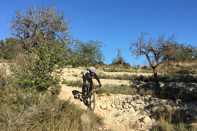 Guided Mountain Bike Route - Pata Negra Tour - Cancellation and Booking Policies