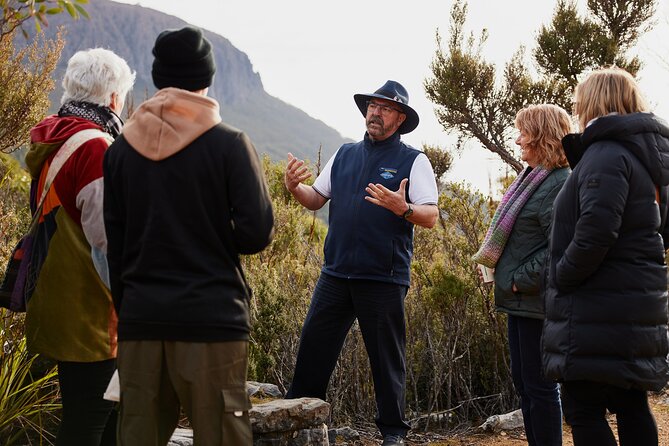 Half Day Mt Wellington and Cascade Female Factory Guided Tour - Tour Schedule and Timings