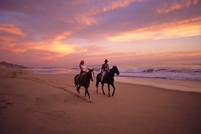 Horseback Riding on The Beach and Through The Desert! - Directions to Meeting Point