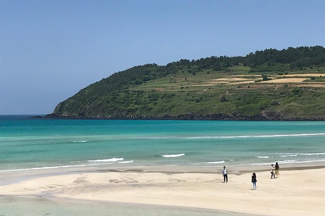 Jeju Island Guided Tour for 9 Hours With a Van - Reviews and Ratings Overview
