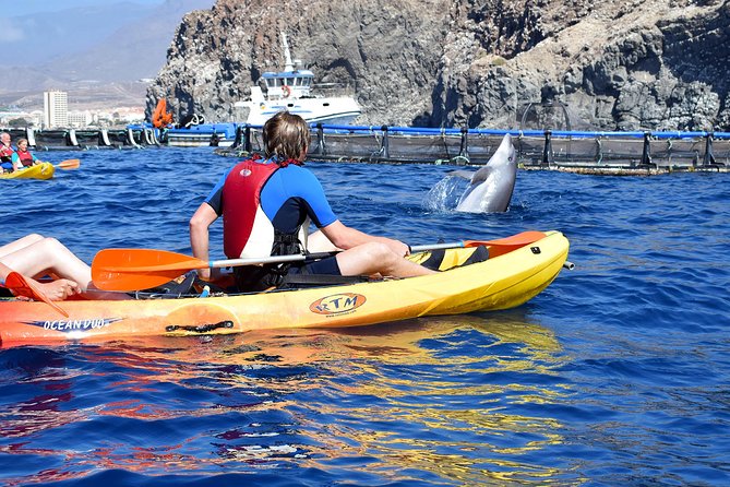 Kayaking With Dolphins and Turtles and Snorkelling in Tenerife - Meeting and Pickup Details