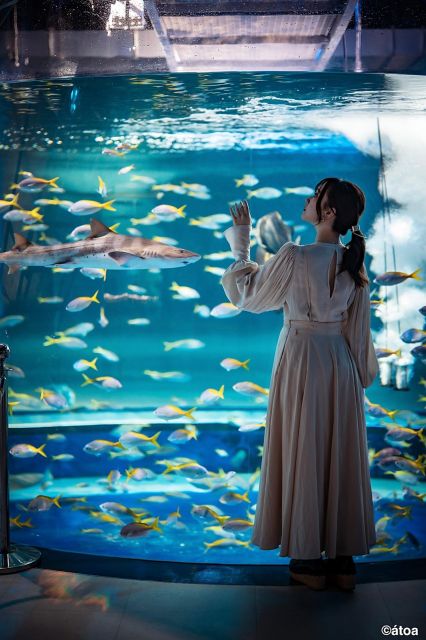 Kobe Urban Aquarium AQUARIUMART Átoa Admission Ticket - Cancellation Policy