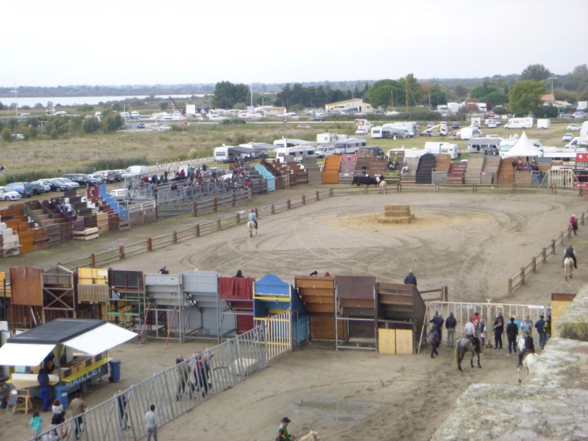 Le Grau Du Roi: Half-Day Tour of Camargue - Reviews