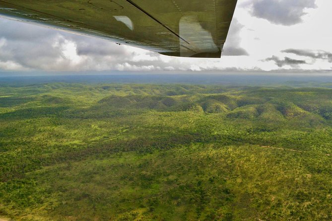 Litchfield Park & Daly River - Scenic Flight From Darwin - Reviews From Past Passengers