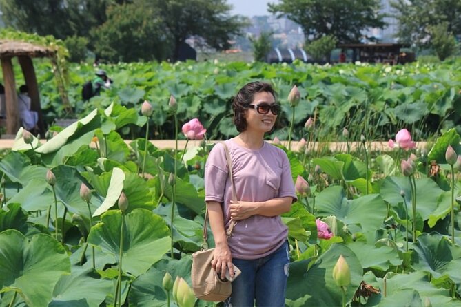 Lotus Flowers and Sunflower Field Tour From Busan - Pricing and Group Discounts