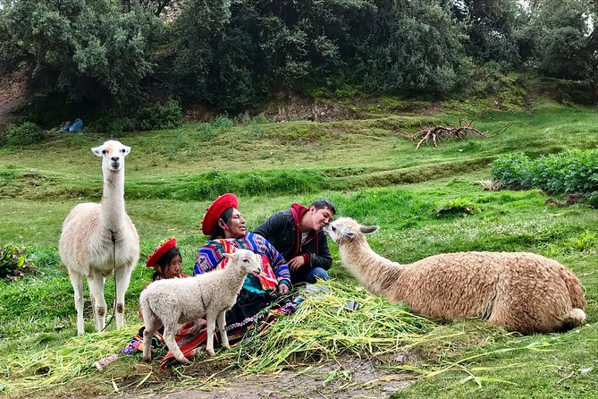 Machu Picchu Full Day From Cusco - Dissatisfied Reviews