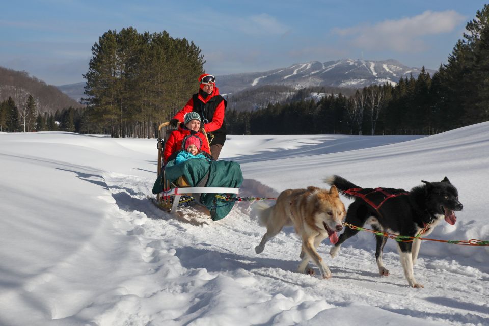 Mont-Tremblant: Dogsledding Experience - Group Size & Guide