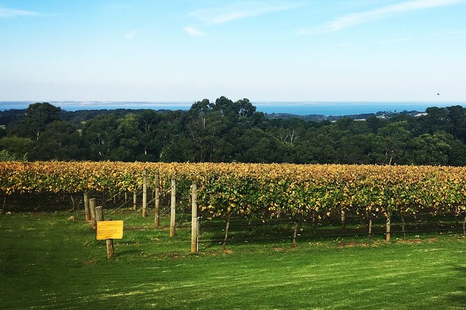 Mornington Peninsula Winery Bus Tour Including Lunch With a Glass of Wine - What Makes This Tour Special