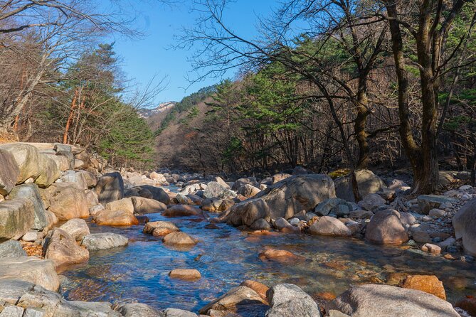 Nami Island & Mount Seorak Day Trip From Seoul - Nami Islands Hidden Gems