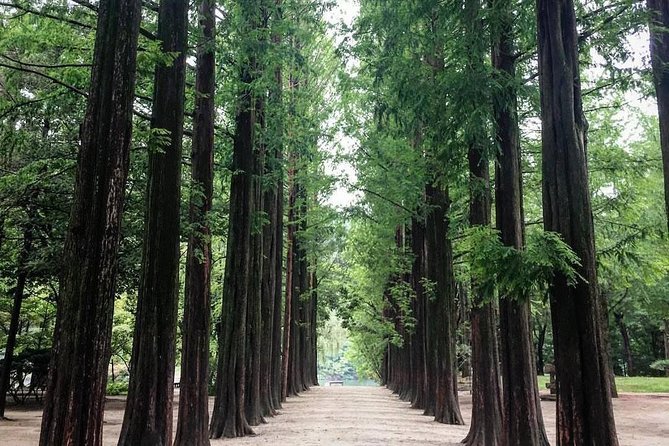 Nami Island & Nearby Attractions : Charter Van Tour With Driver - Tour Logistics and Details