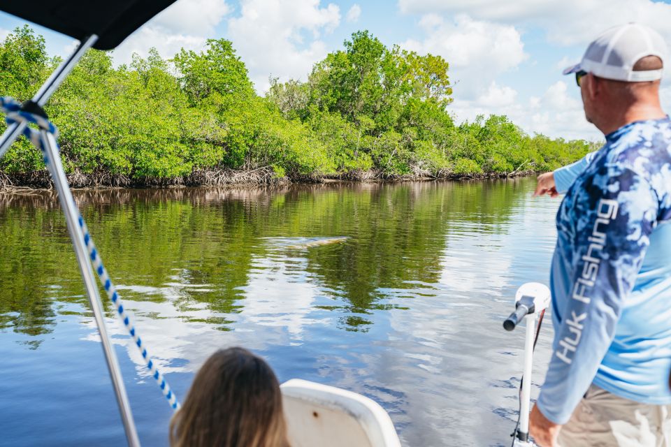 Naples, FL: Manatee and Dolphin Cruise to 10,000 Islands - Price and Booking