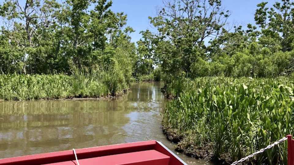 New Orleans: 10 Passenger Airboat Swamp Tour - Customer Reviews