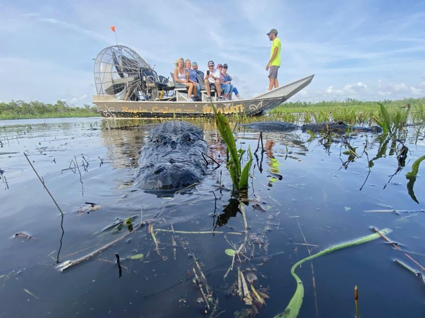 New Orleans: 10 Passenger Airboat Swamp Tour - How to Prepare