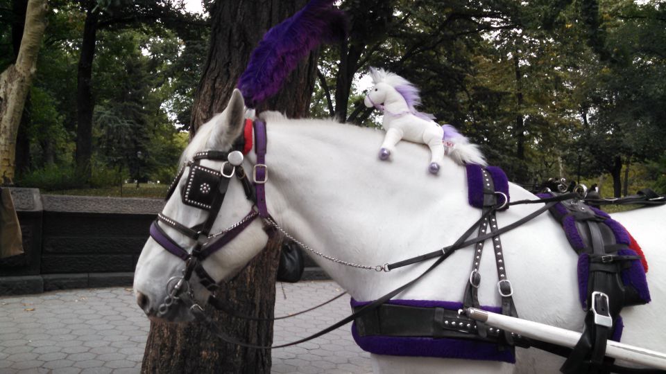 New York: Carriage Ride in Central Park - Final Words