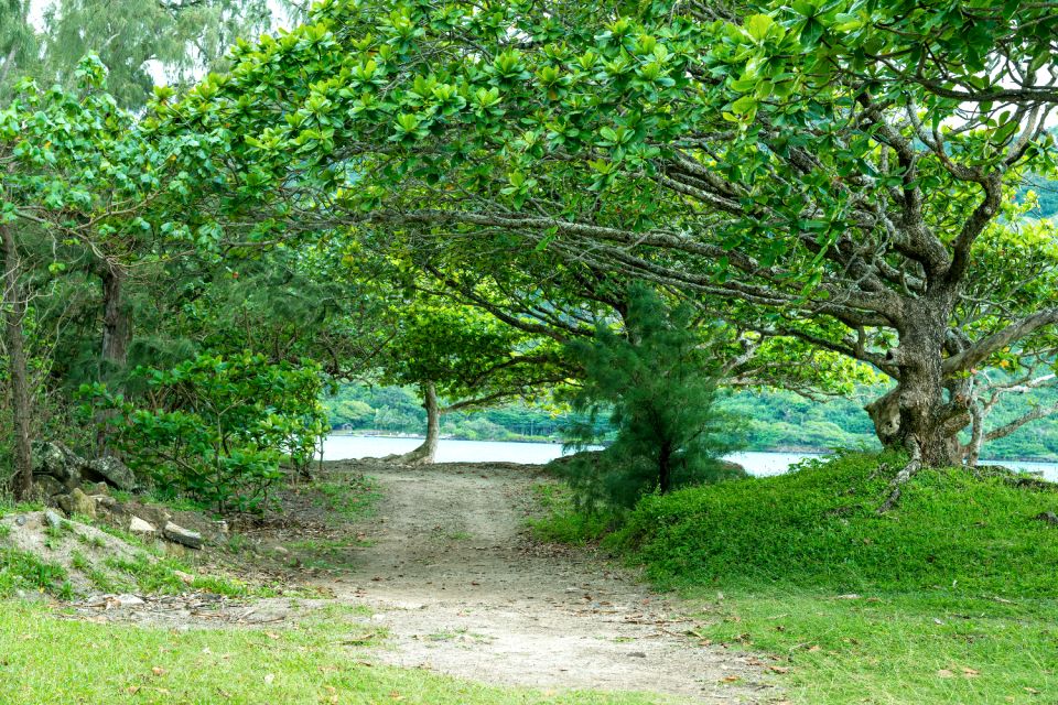 Oahu: Grand Circle Island Self-Guided Audio Driving Tour - Customer Reviews and Testimonials