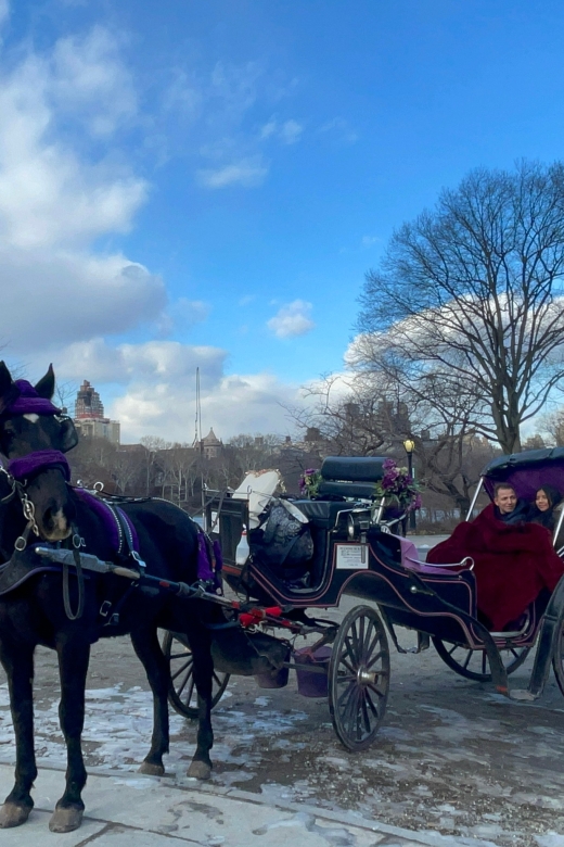 Official Exclusive VIP Horse Carriage Ride in Central Park - Why Choose This VIP Ride