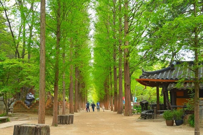 Photo Spot Tour Including Nami Island and 3 More Places - Captivating Moments at Garden of Morning Calm
