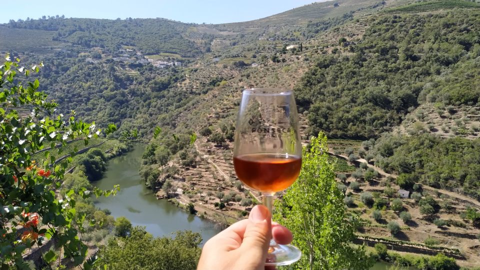 Porto: Douro Valley Wine Tour With Tastings, Boat, and Lunch - Additional Comments