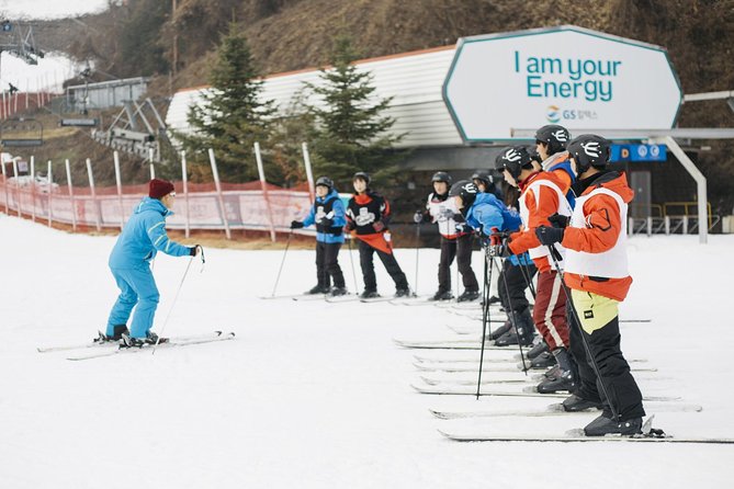 Private 1:1 Ski Lesson Near Seoul, South Korea - Pricing and Booking Options