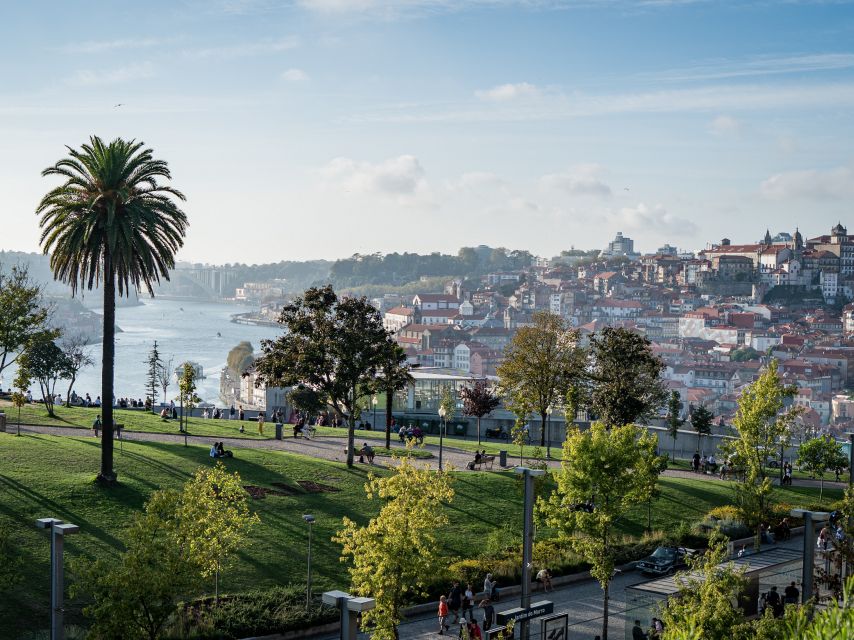 Private Adventure Transfer From Lisbon-->Porto+Obidos&Aveiro - Itinerary