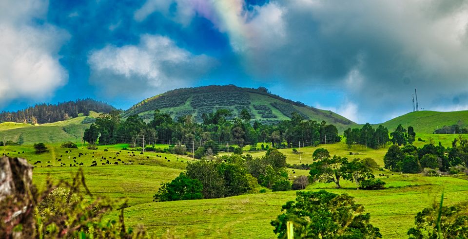 Private Iao Valley/Upcountry VIP Farm Tour- Full Day - Cancellation Policy