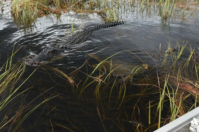 Private Tour: Florida Everglades Airboat Ride and Wildlife Adventure - Directions