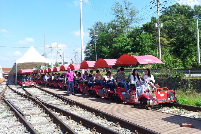 Private Tour Rail Bike & Nami Island & (Petite France or Garden of Morning Calm) - Tour Guide and Commentary Insights