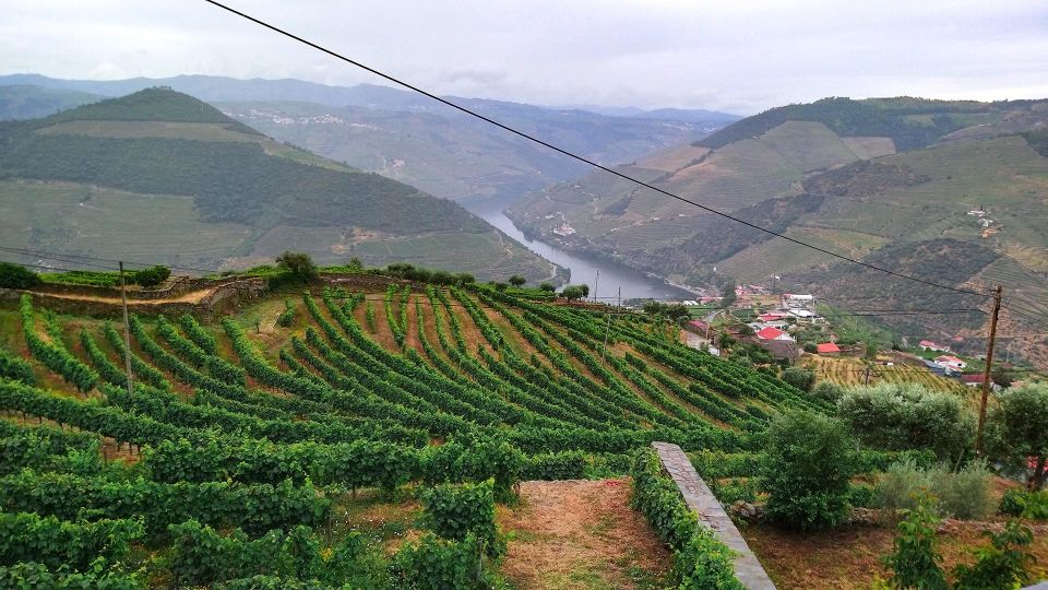 Private Tour to Stunning Douro Valley and Renowned Wineries - Inclusions