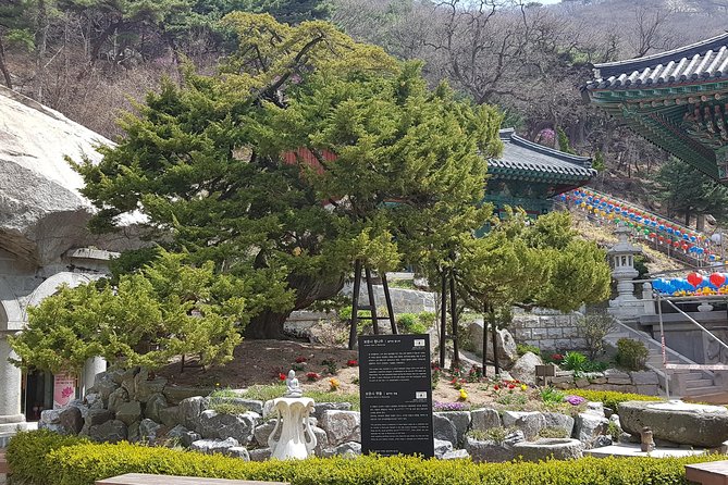 Private Trip to Seongmo Island(Temple) and North Korea Observatory+Kimchi Lesson - Schedule and Pickup Details