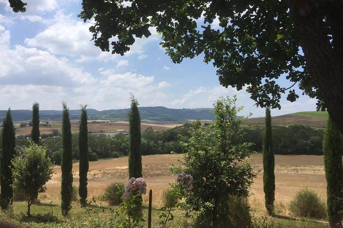 Private Tuscany Wine Tour Experience From Florence - Host Responses and Tour Highlights