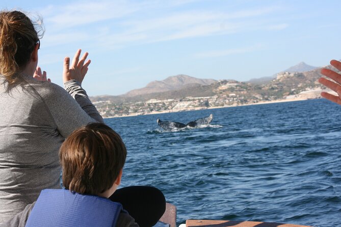 Private Whale Watching in San José Del Cabo - Recommendations for Nature Enthusiasts