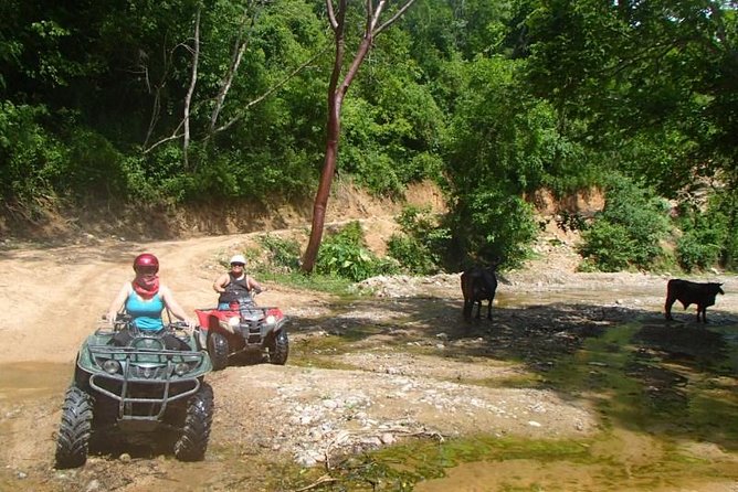 Puerto Vallarta to Rancho Las Vegas ATV Adventure Private Tour - Directions and Logistics