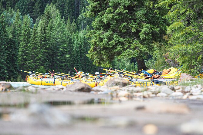 Rafting Adventure on the Kicking Horse River - Common questions