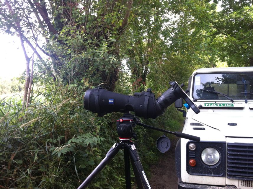 Ria De Aveiro: Birdwatching Tour (Full Day) - Common questions