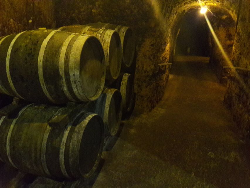 Rioja: Private Wine Tasting Tour - Common questions