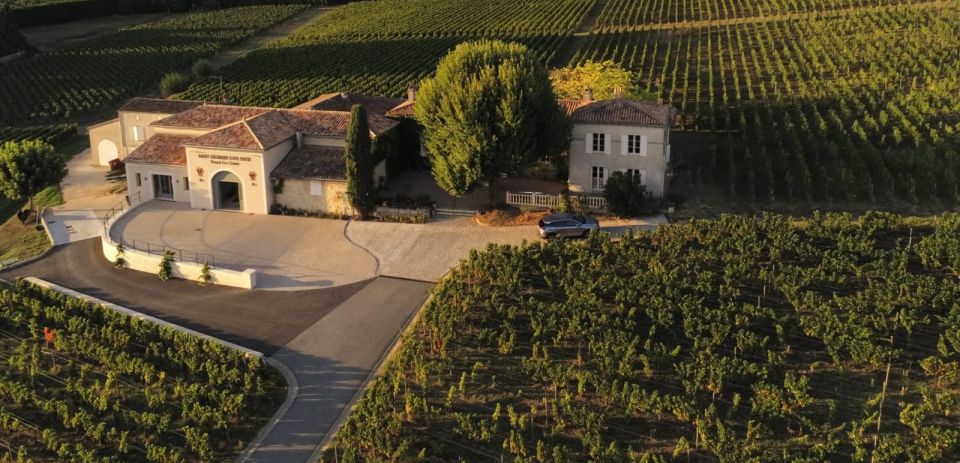 Saint-Émilion: Bordeaux Vineyard Tour and Wine Tasting - Tour Details and Logistics