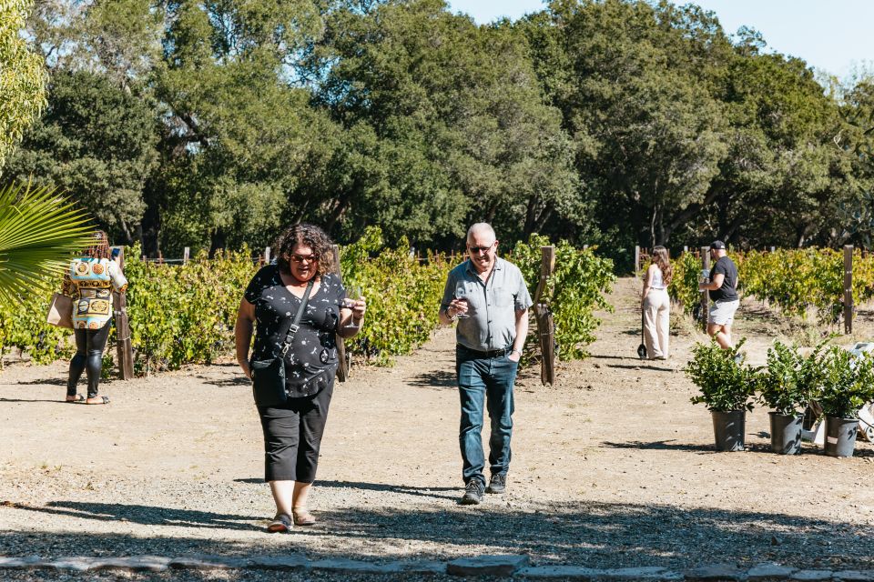 San Francisco: Half-Day Wine Country Excursion With Tastings - Recommendations