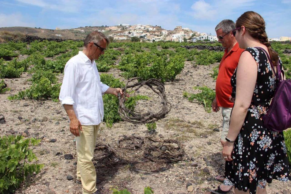 Santorini: 5-Hour Private Wine Tour - Common questions