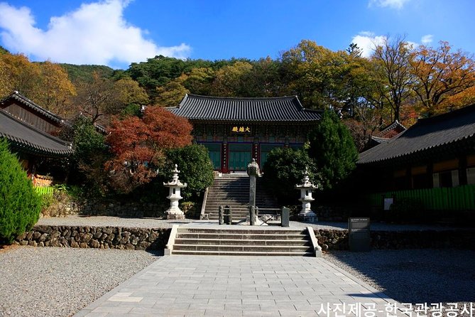 Scenic Jiri Mountain Autumn Foliage One Day Tour - Cancellation and Refund Policy